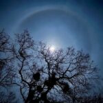 winter moon with cloud rings above tree branches